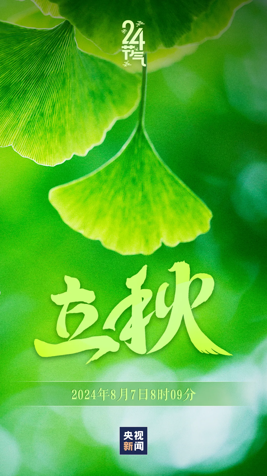 今日，立秋