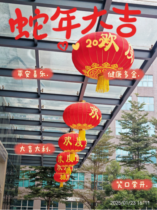 靈蛇舞動迎新春，喜氣洋洋滿乾坤